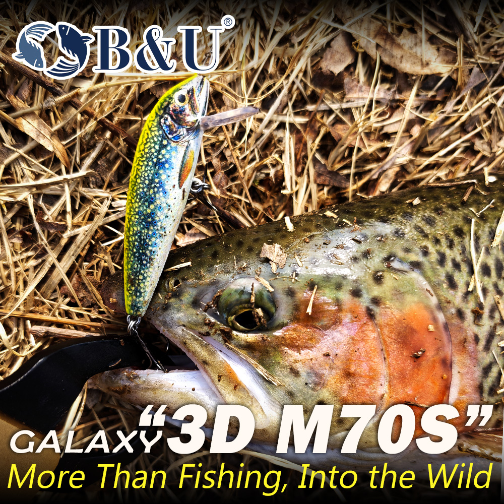 B&U シンキングミノー釣り用ルアー、3D リアルな遠投ハー - Fishing Hook Treble のレビューと価格