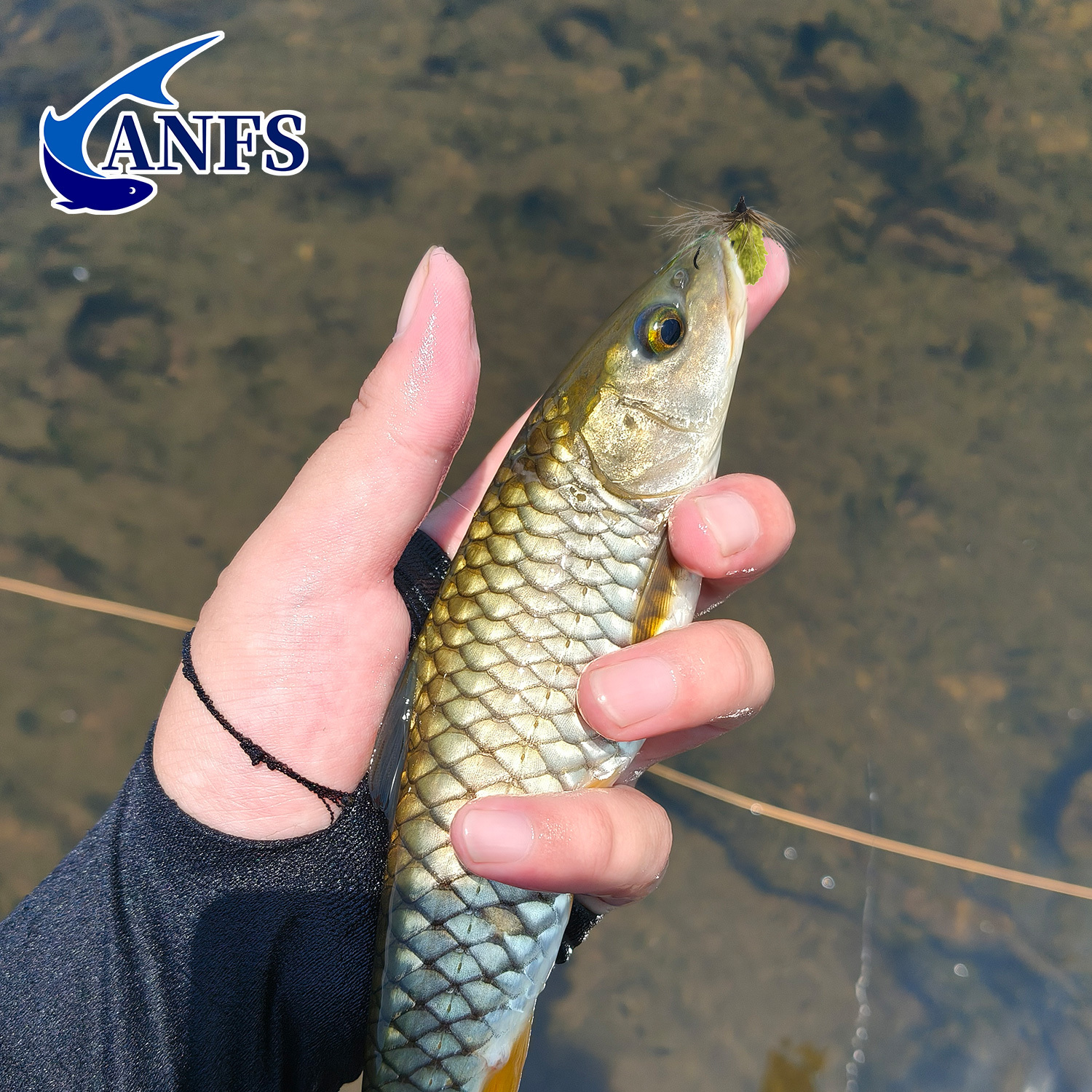 ANFS 10個入りモップフライアソートカラー（箱入り）、手 - Fishing Hook Assortment のレビューと価格