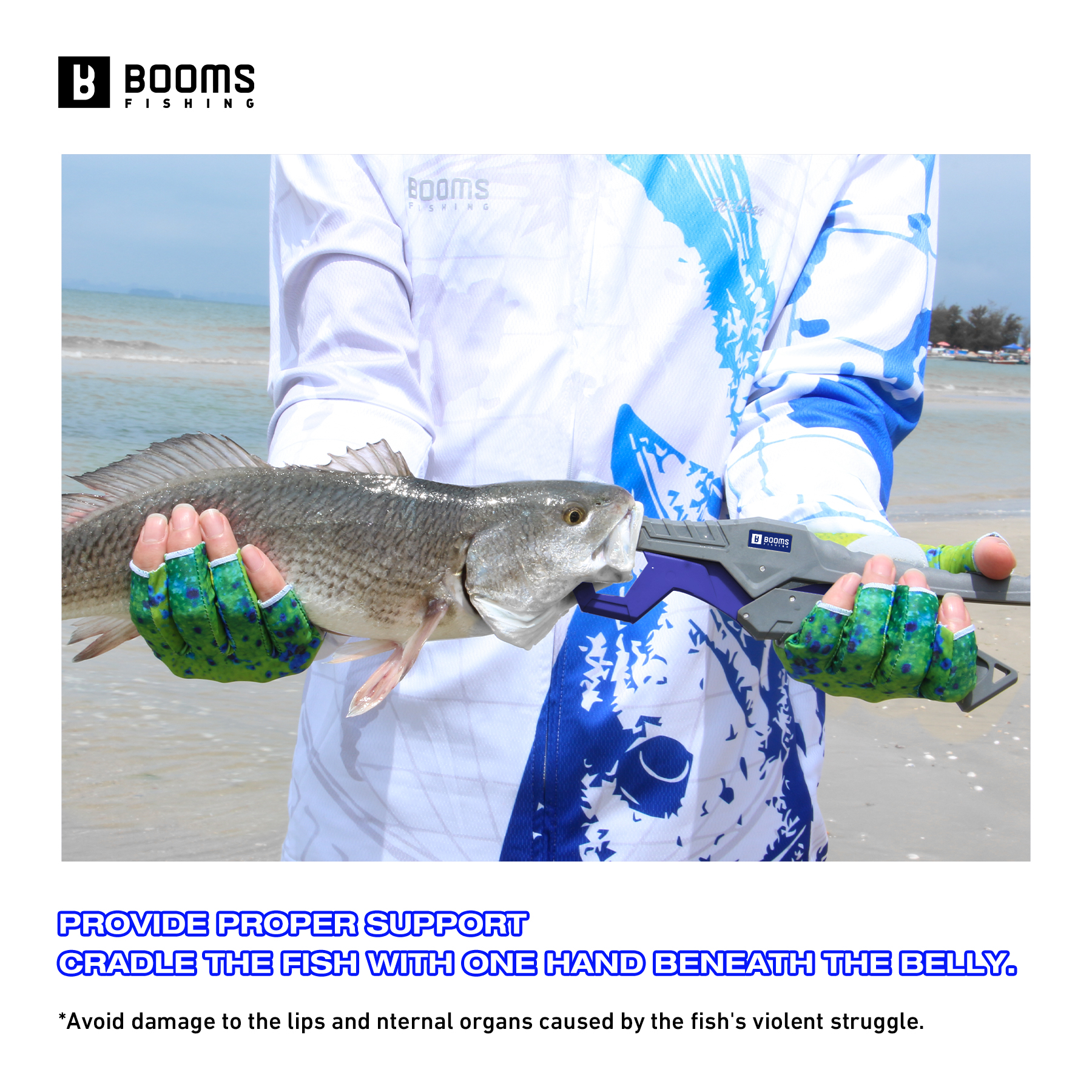 ブームズフィッシング 23cmプライヤーと24cmフィッシュ - Fishing Hook Sharpener のレビューと価格